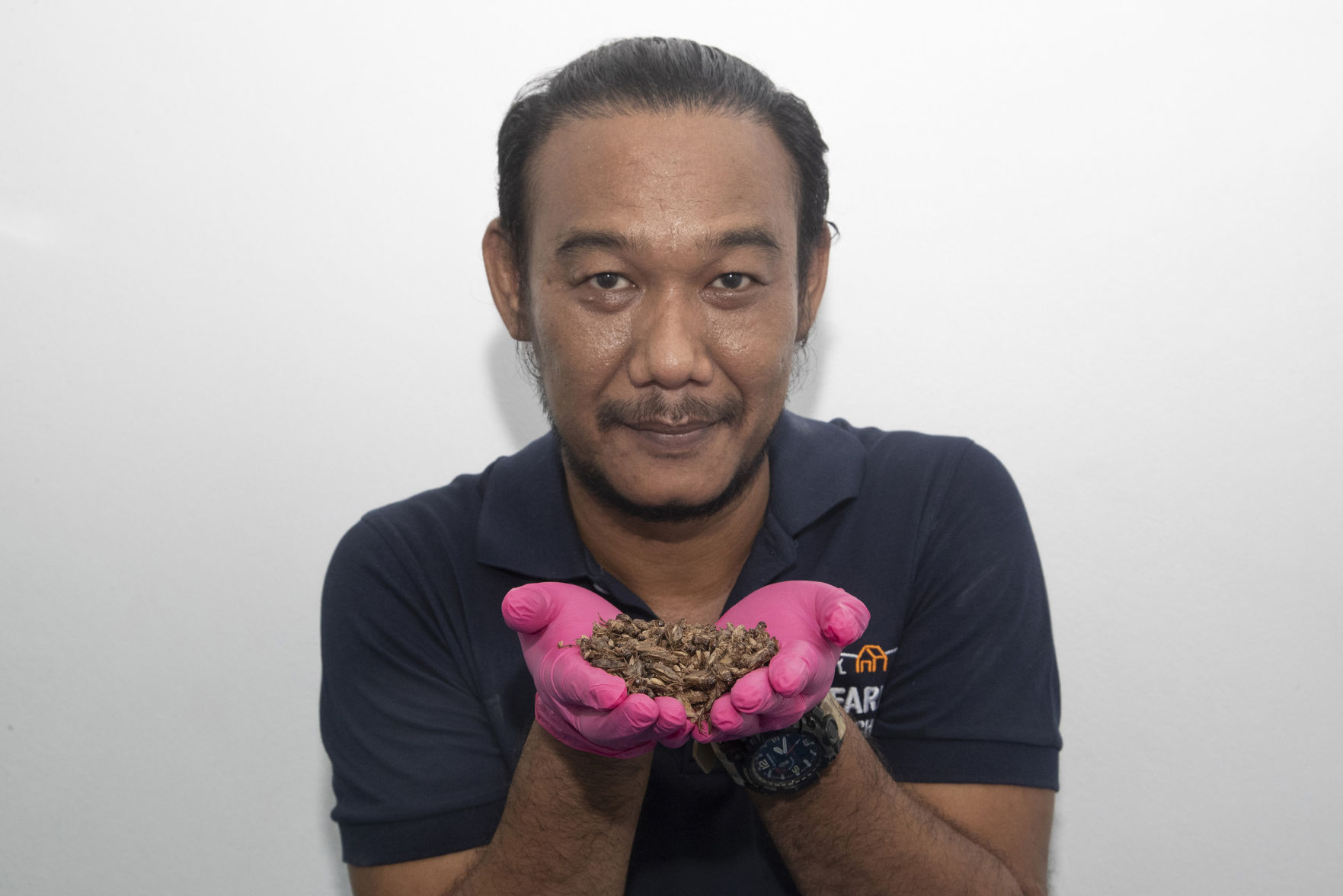 Thailand Insect Snacks